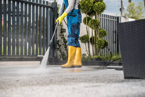 Best Sidewalk and Walkway Cleaning  in Austin, MN